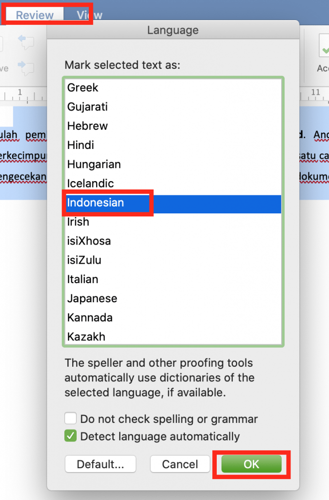 Webstorm typo in word что это